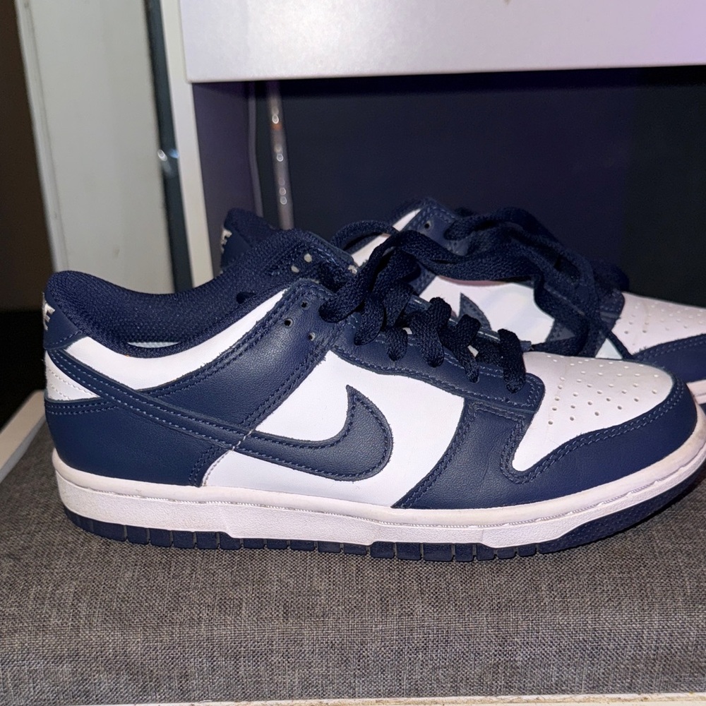 Nike Navy and White Low-Top Sneakers
